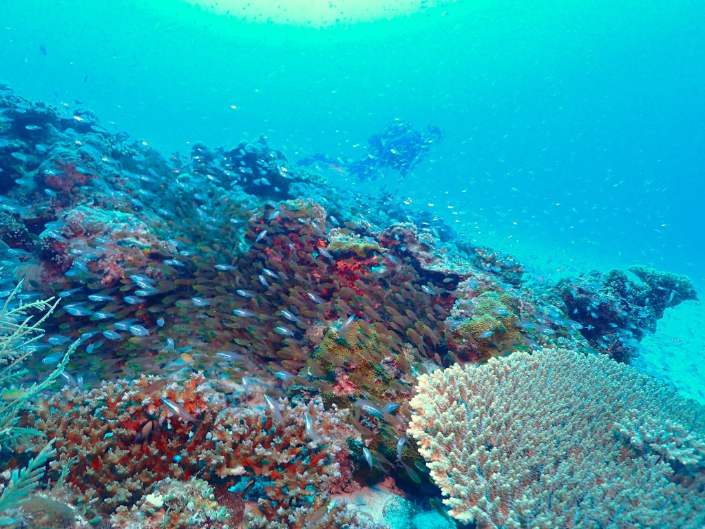 p8300037
