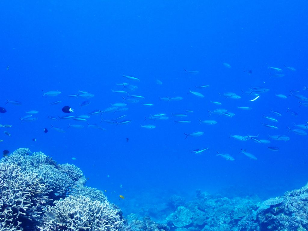 p8300069