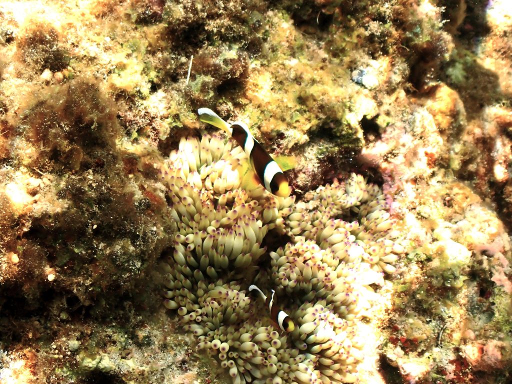 p9040201