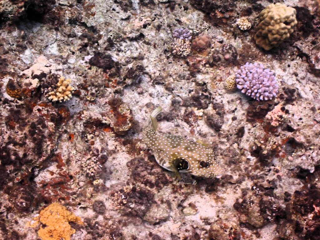 p9060031