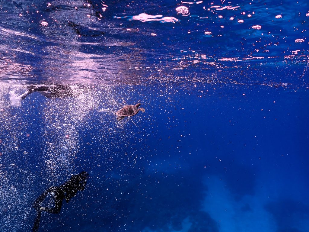 p9060059