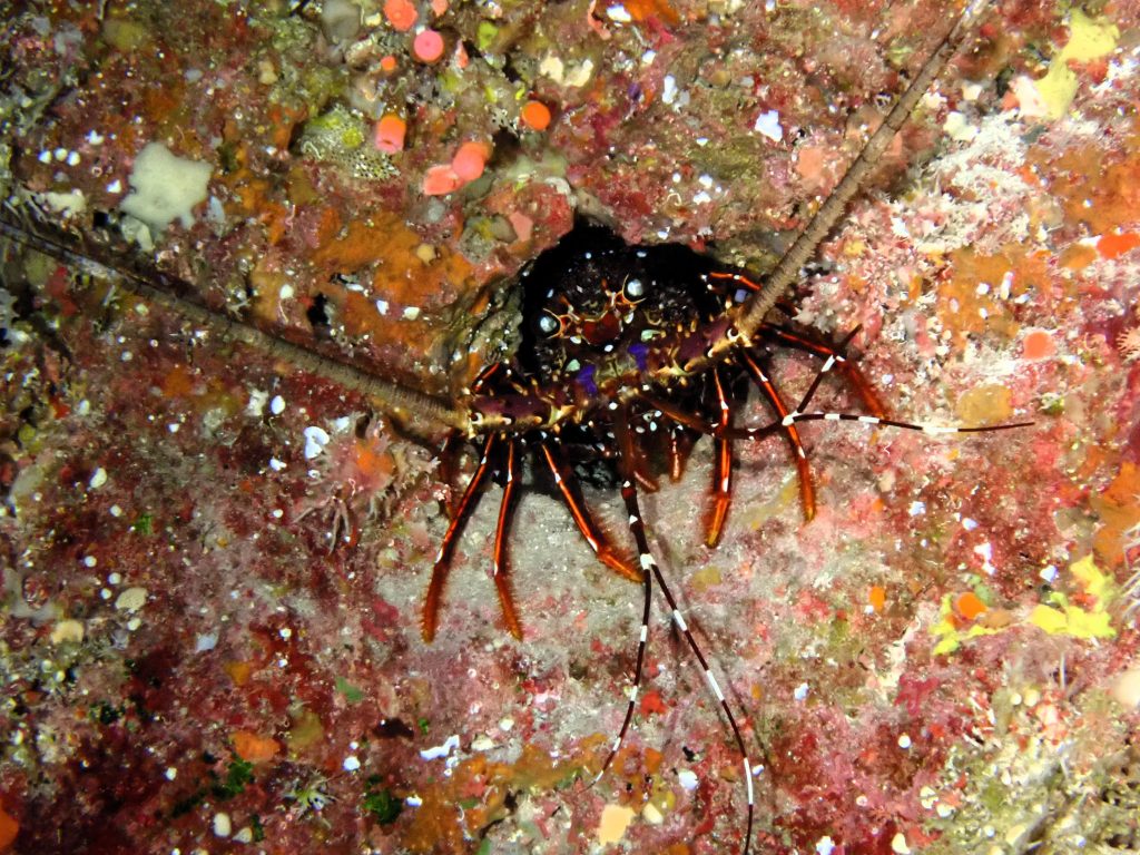p9061557
