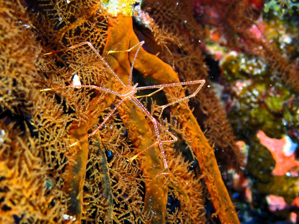 p9280358