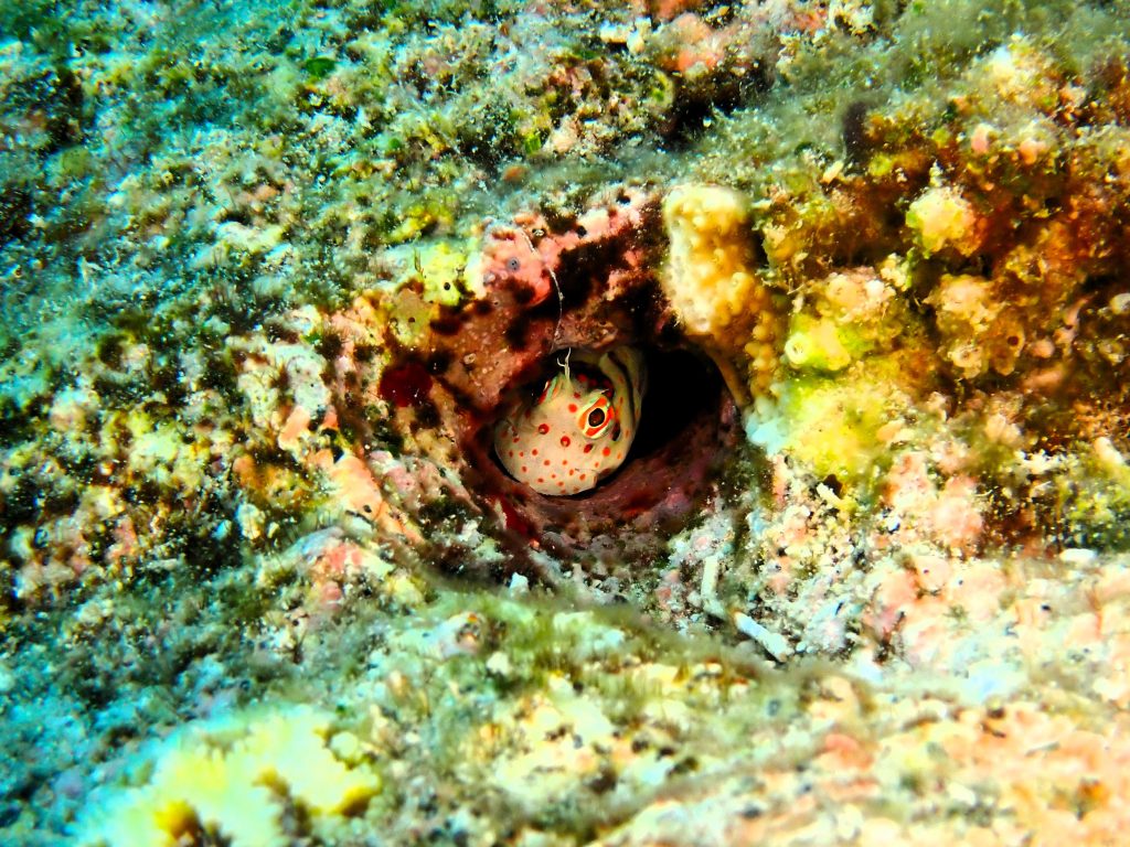 p9280398