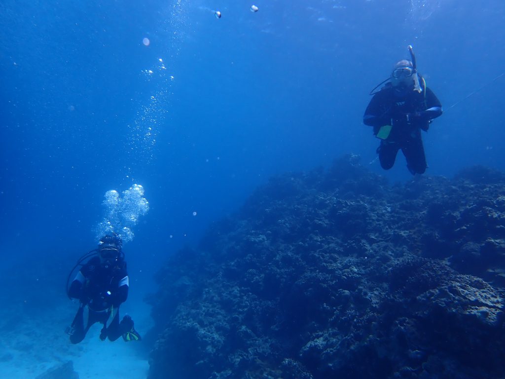 最高の天気と海！ダイビングDay