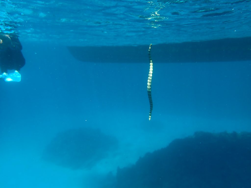 p5020336