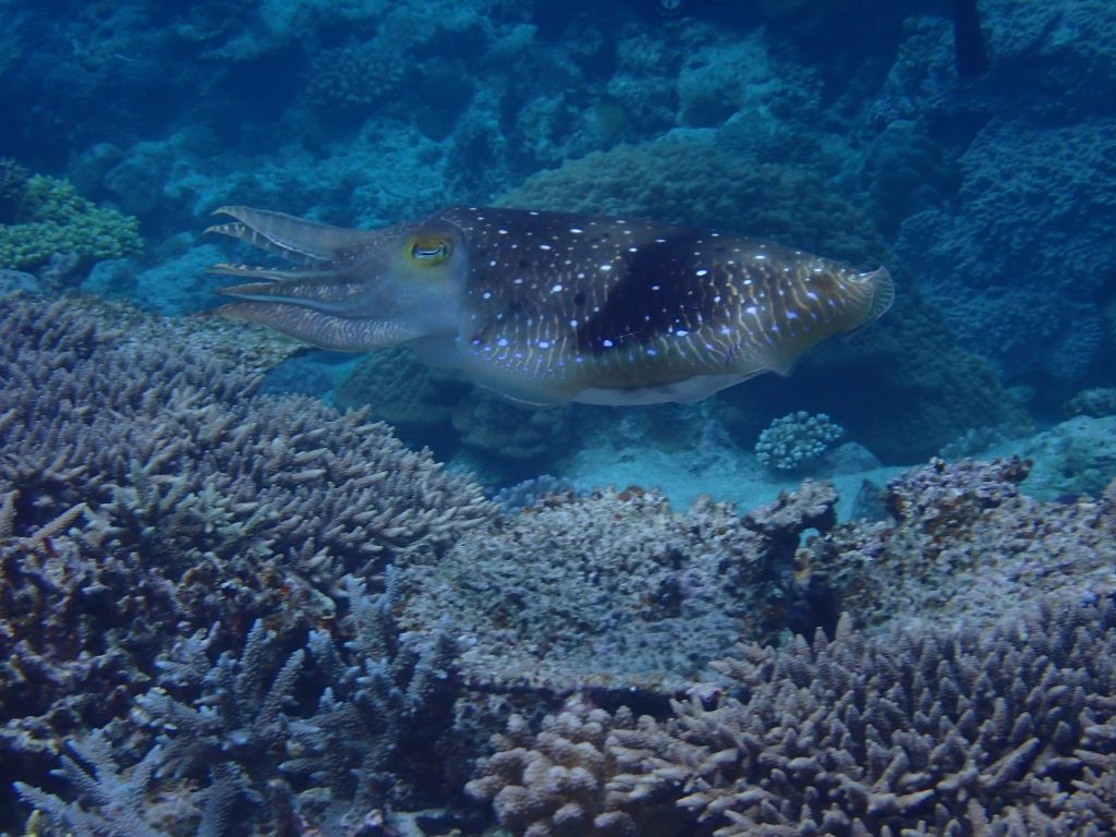 p5030092