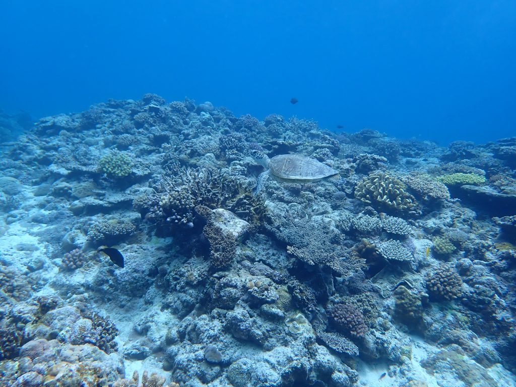 p5030099