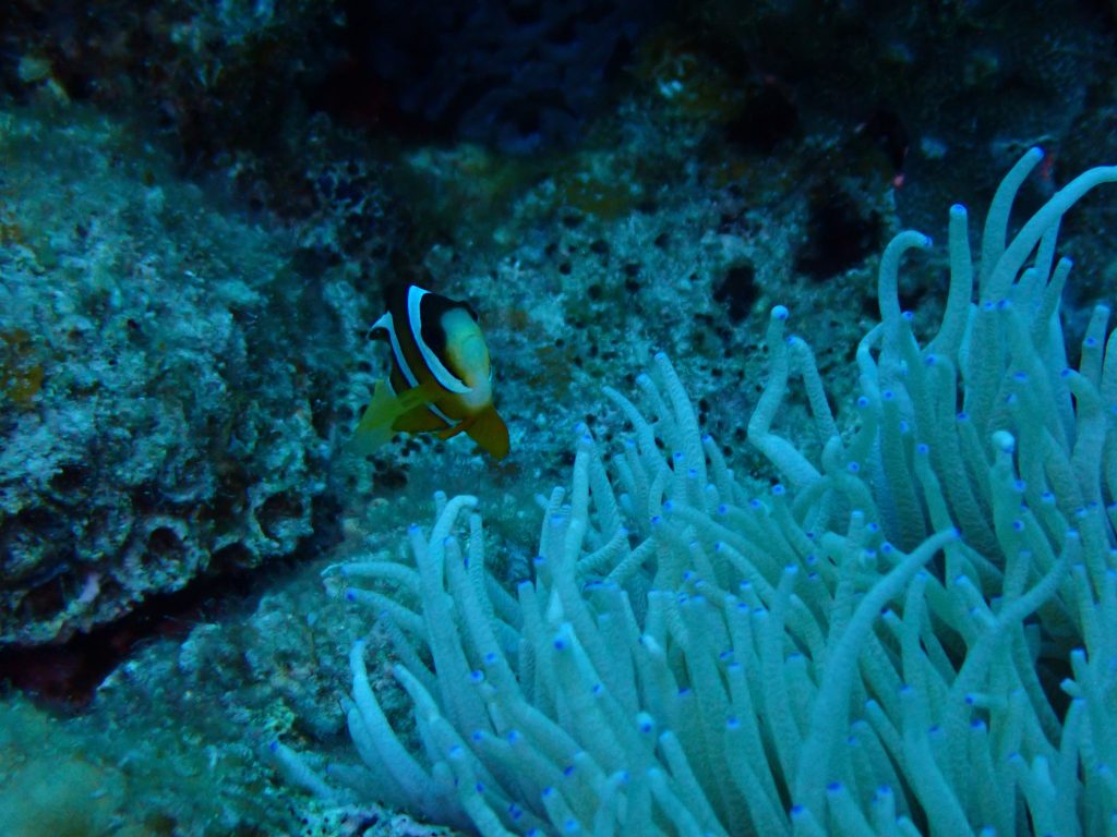p5040043