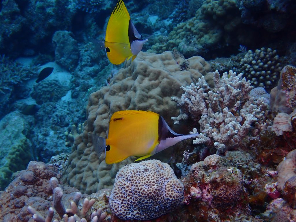p5040136