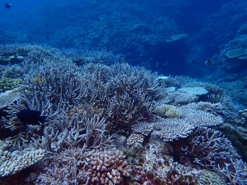 p5050161