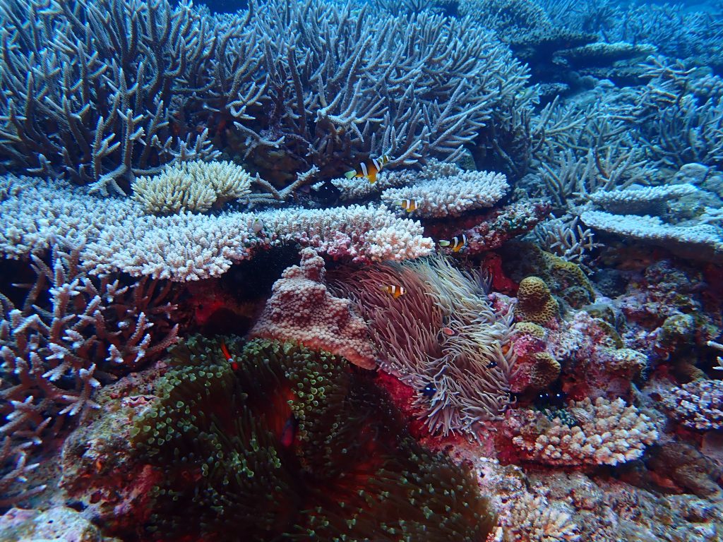 p5050162