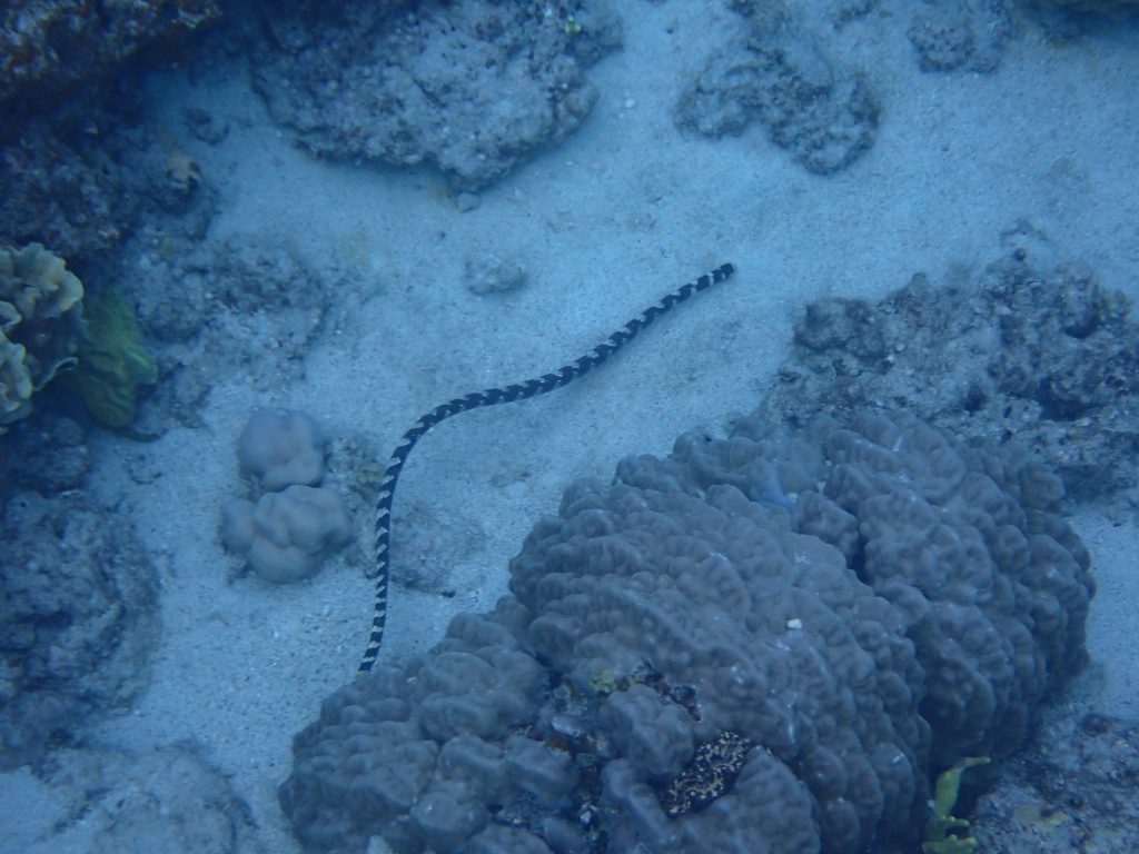 p5060048