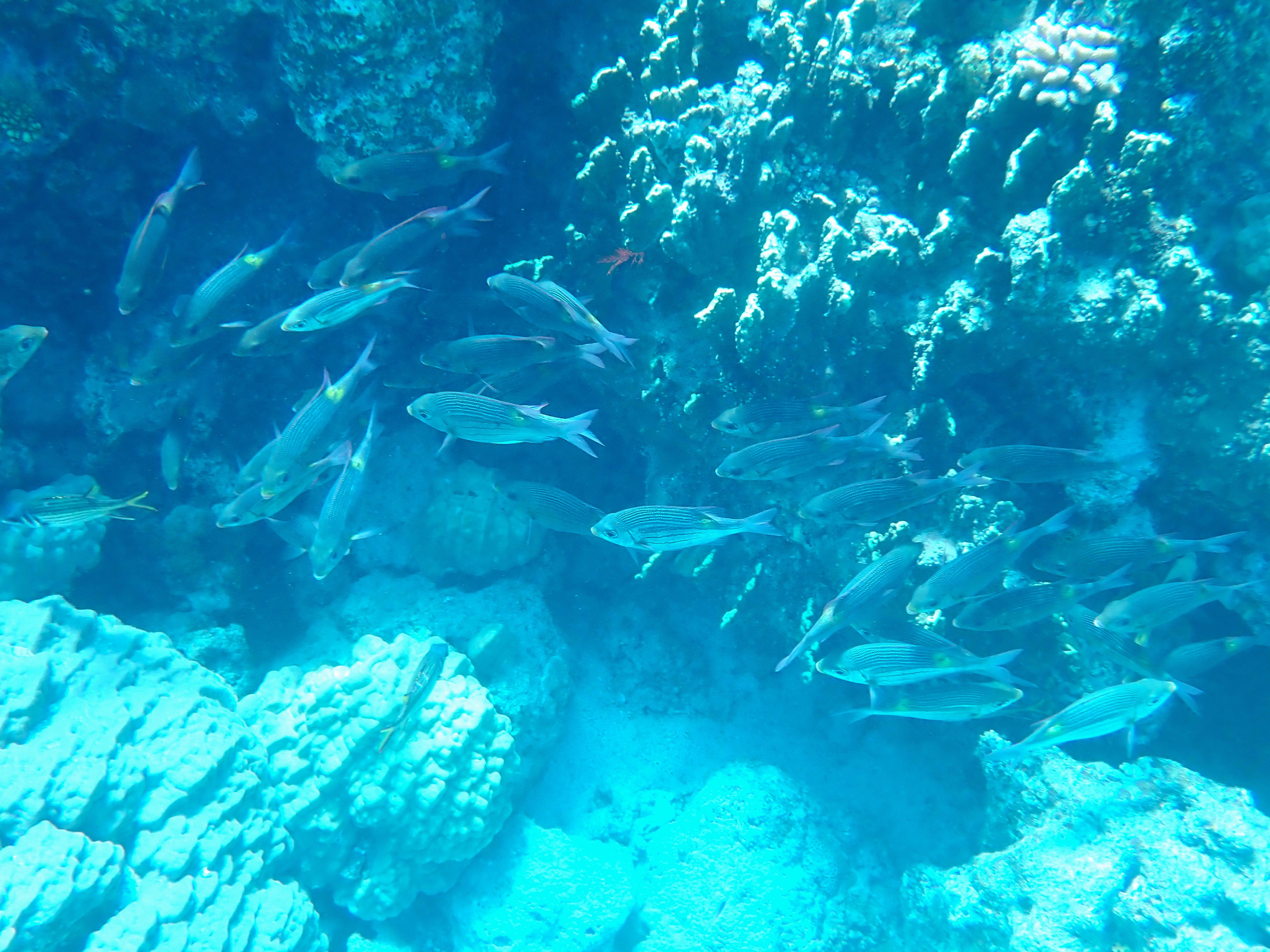 p5170058