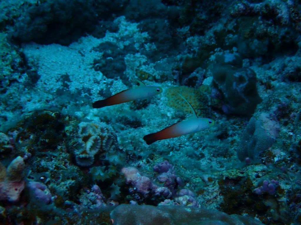 p6120084