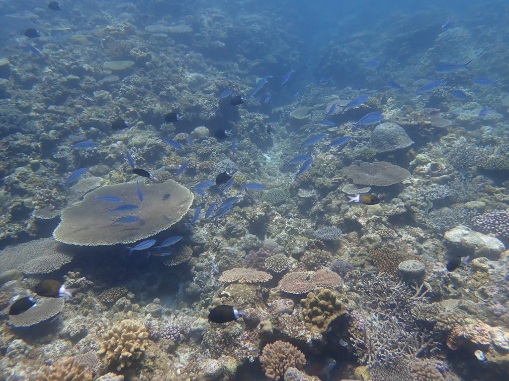 p6190141