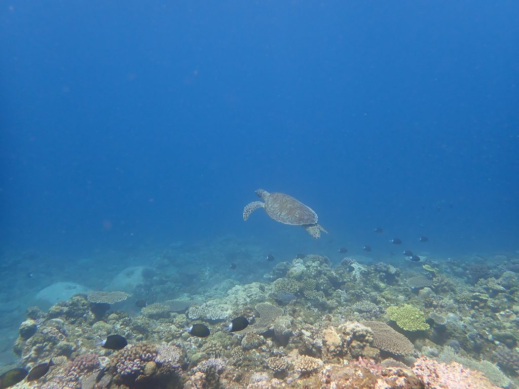 p6190146