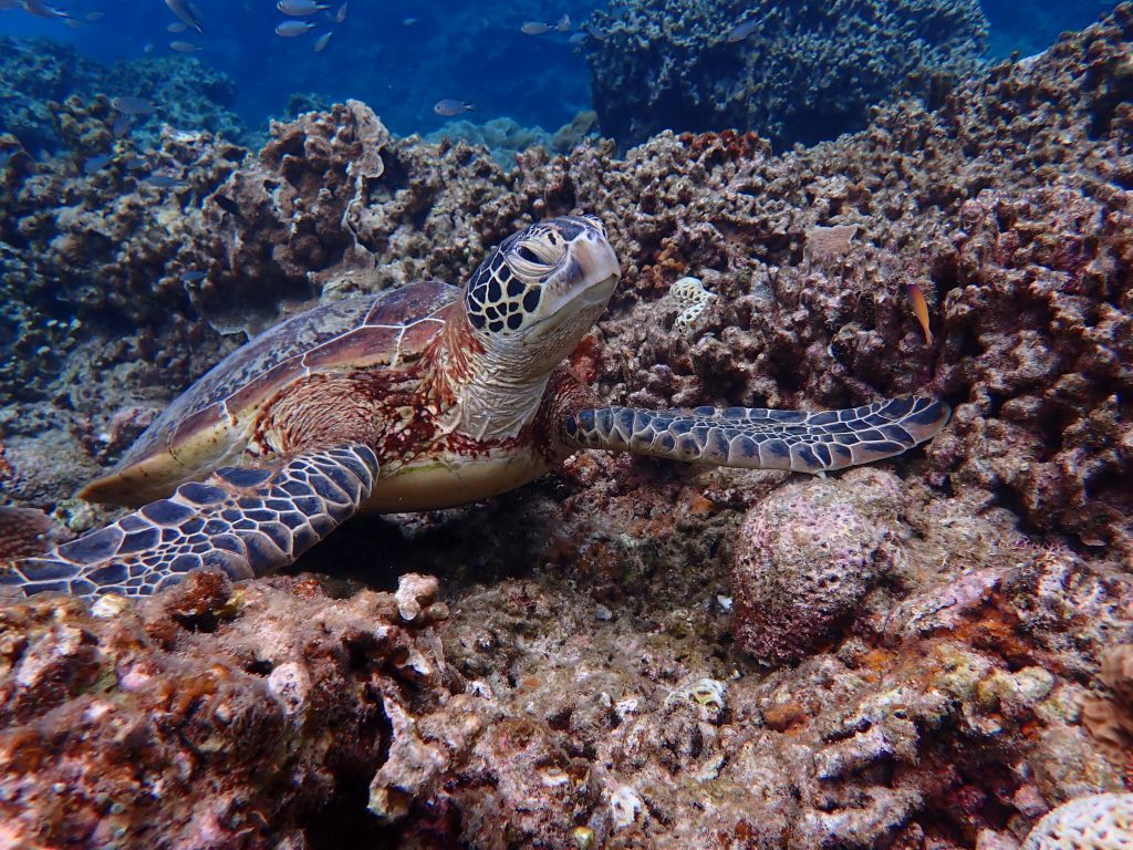 p6280135