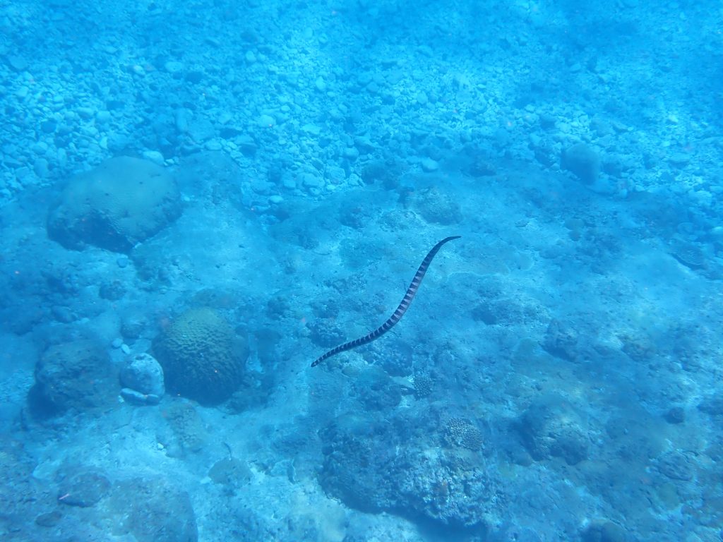 p7020157