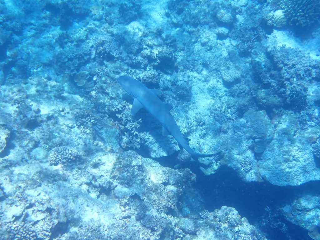 p7020188