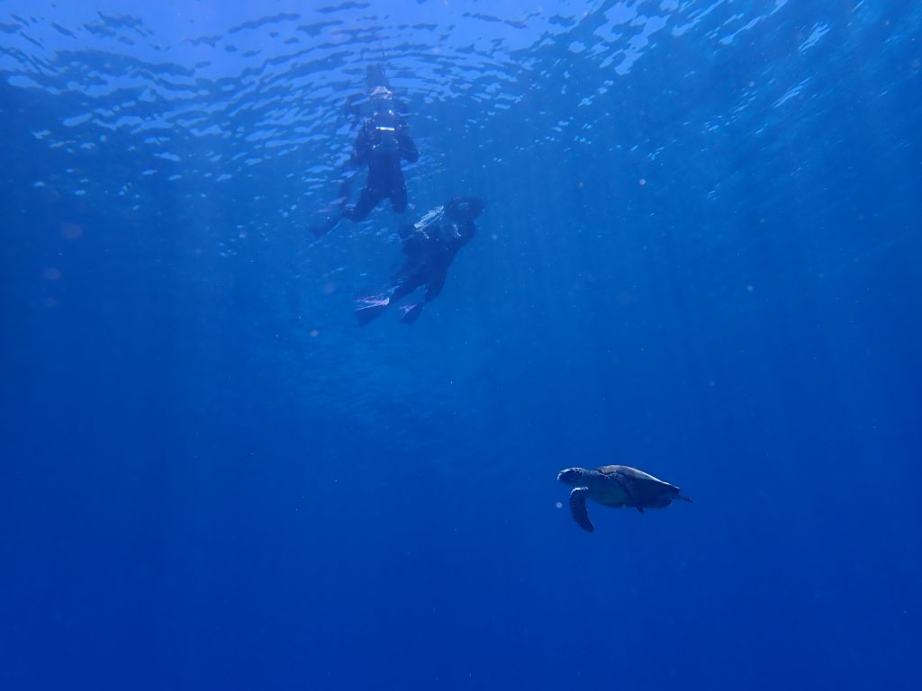 p7070105