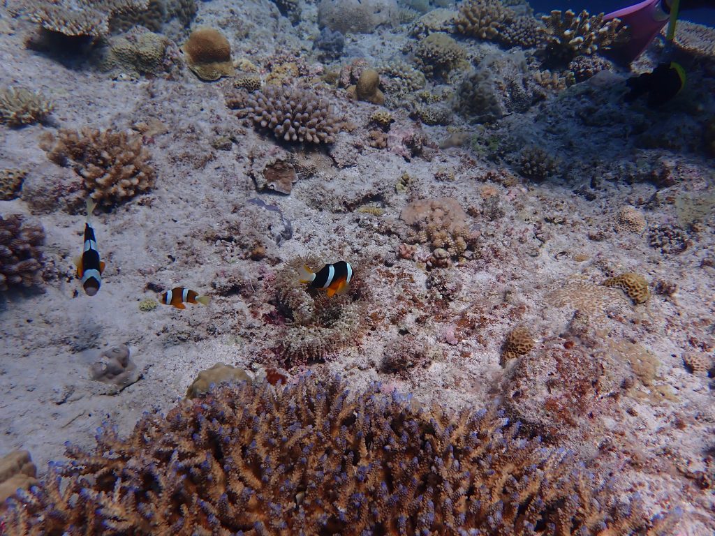 p7160143