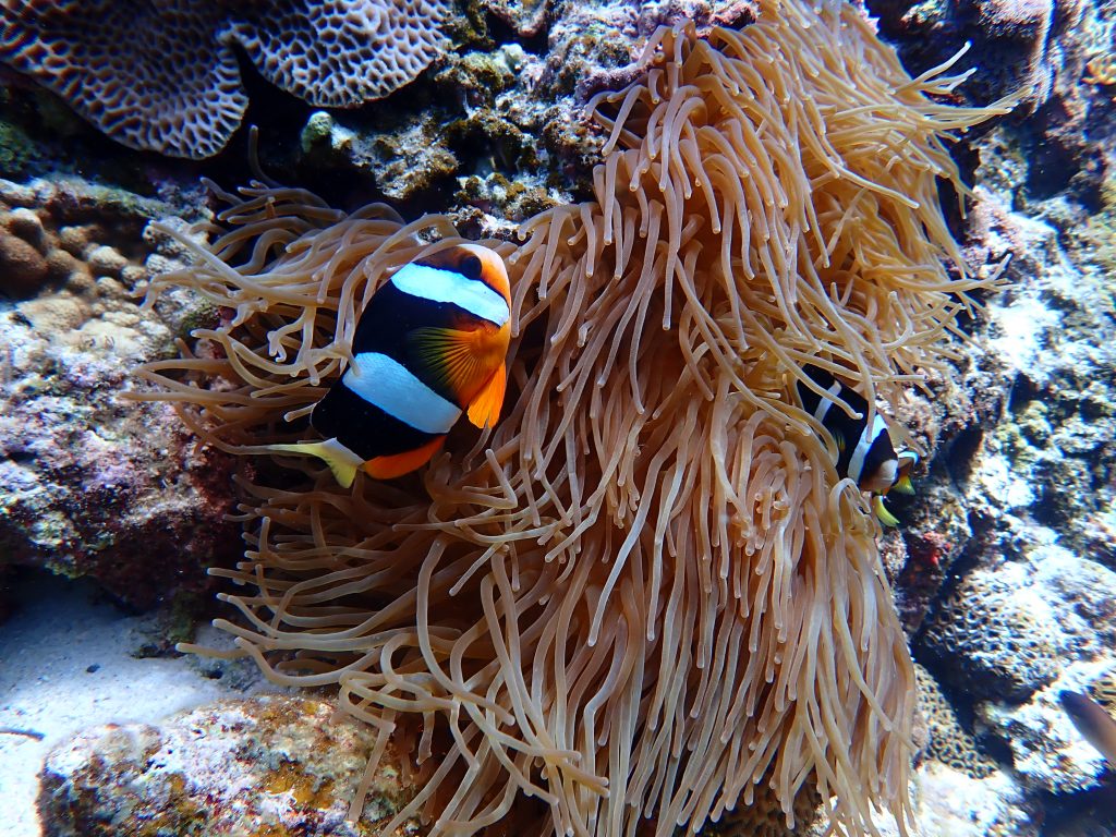 p7200011
