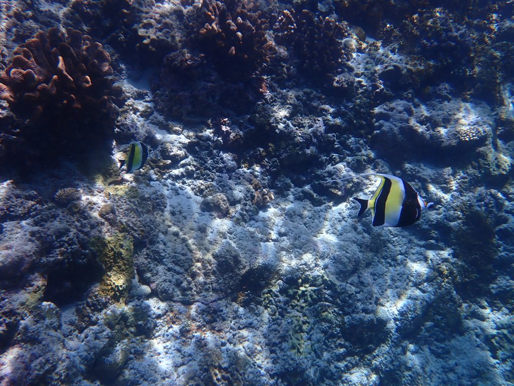 p7220066