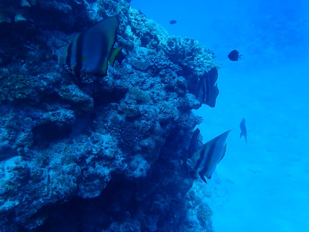 p7220085