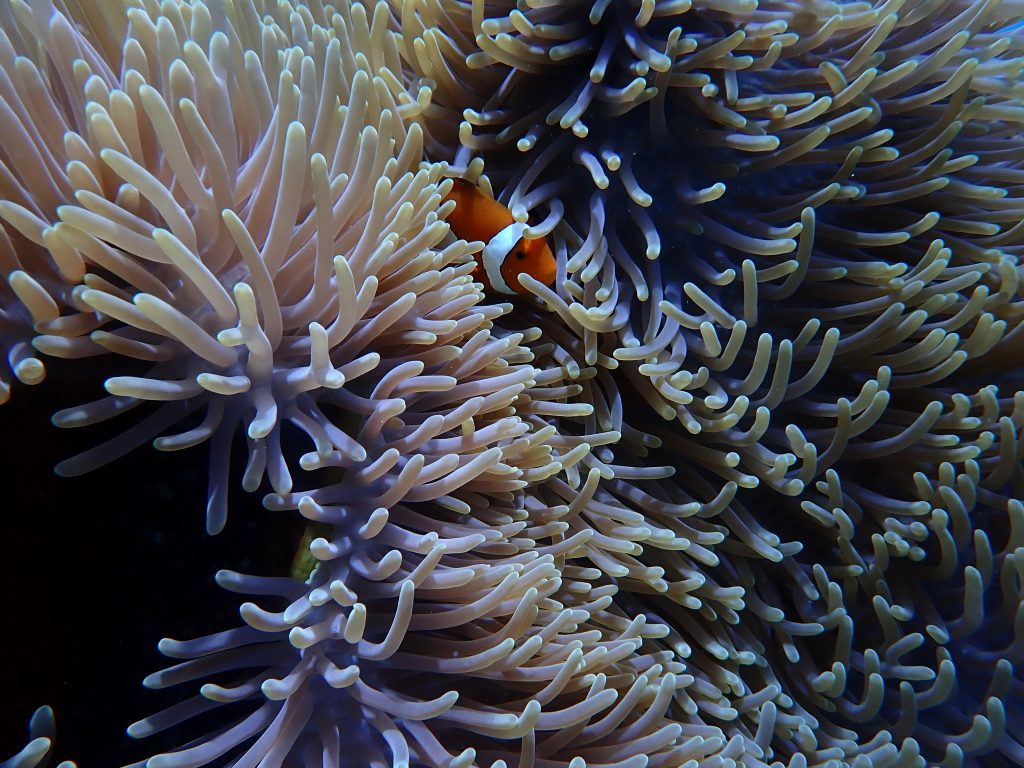 p7220113