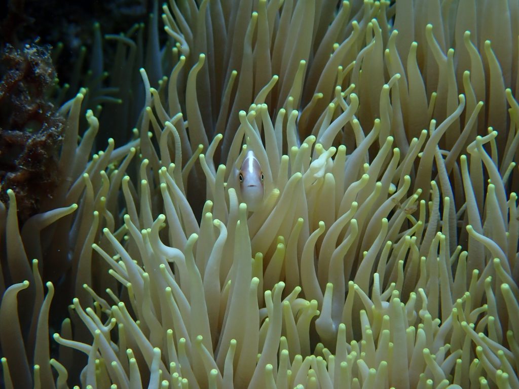 p7240120