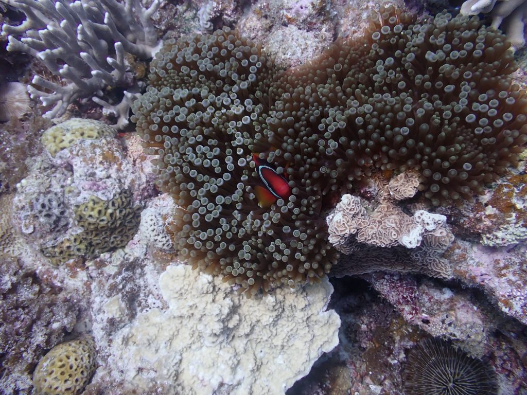p7240140