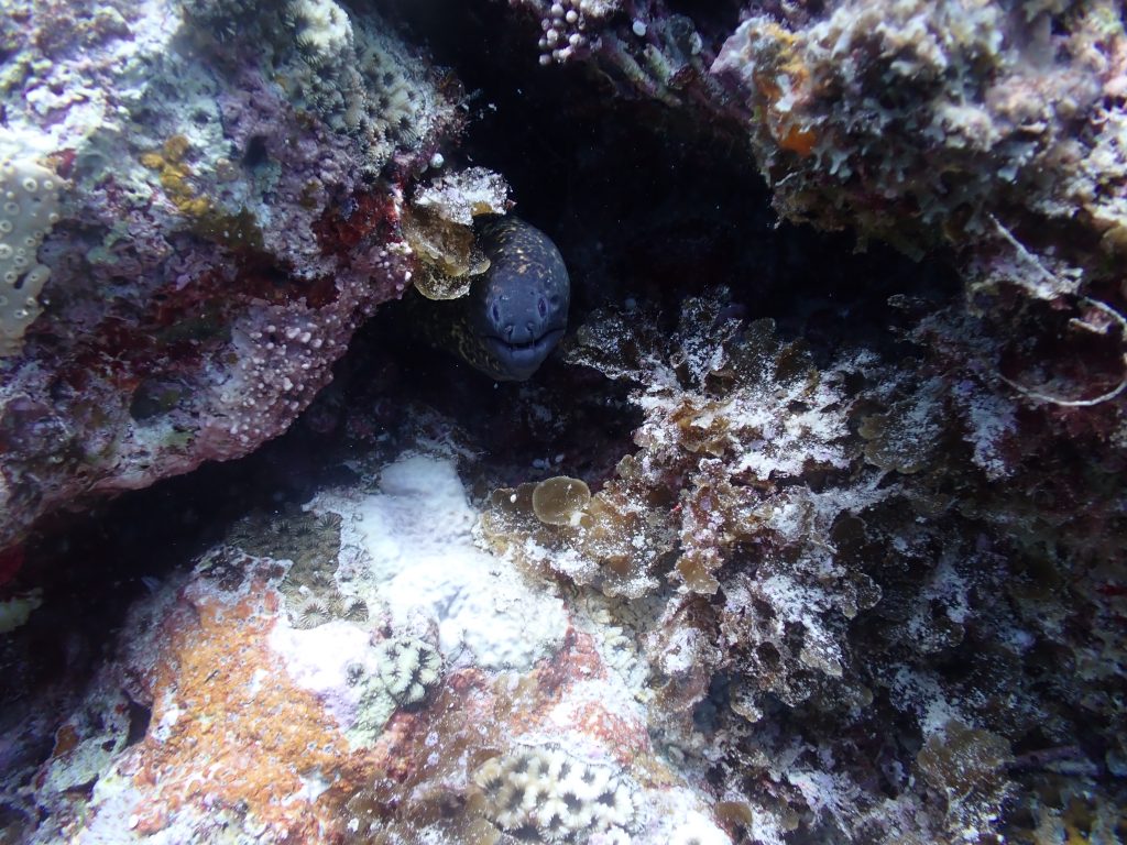 p7240163