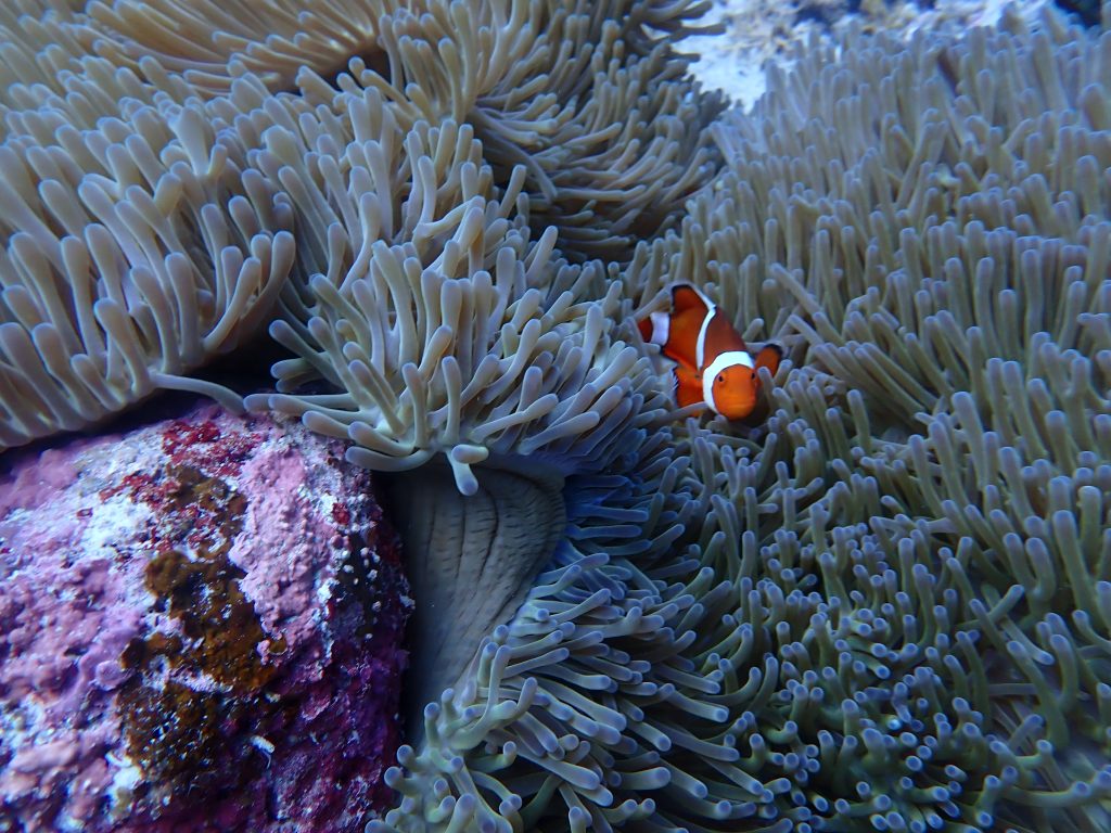 p7240192