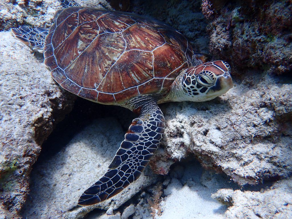 p7260089
