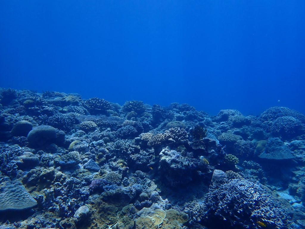 p7260093