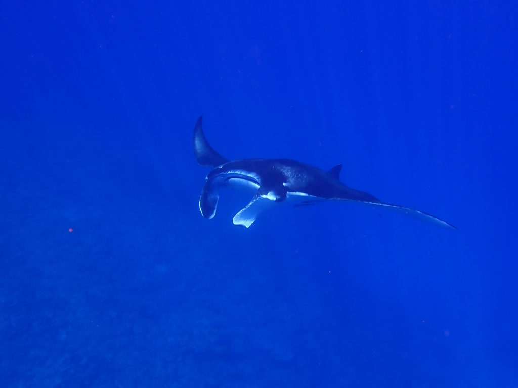 p7290129