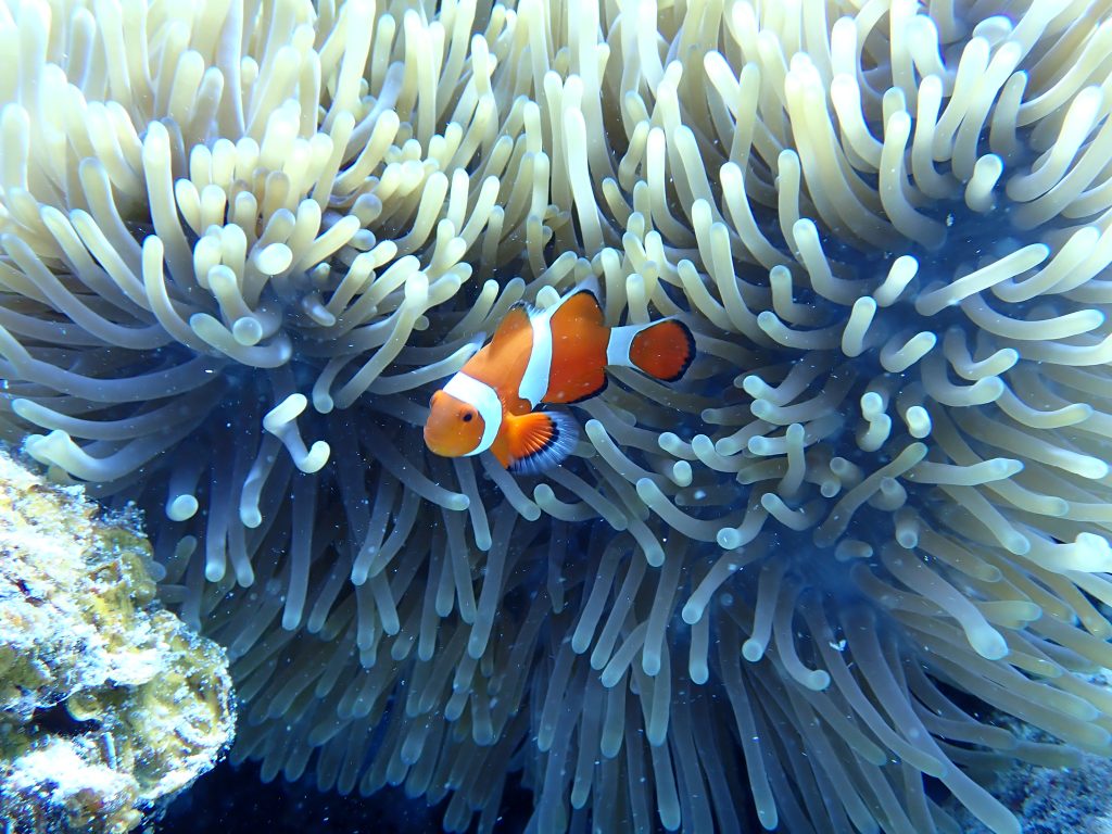 p8030028