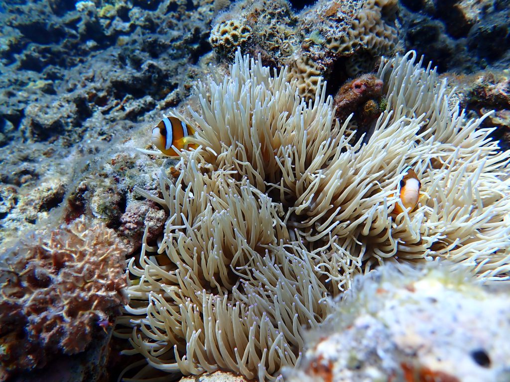p8030047