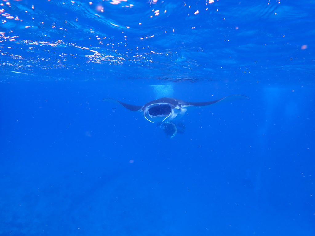 p8160055