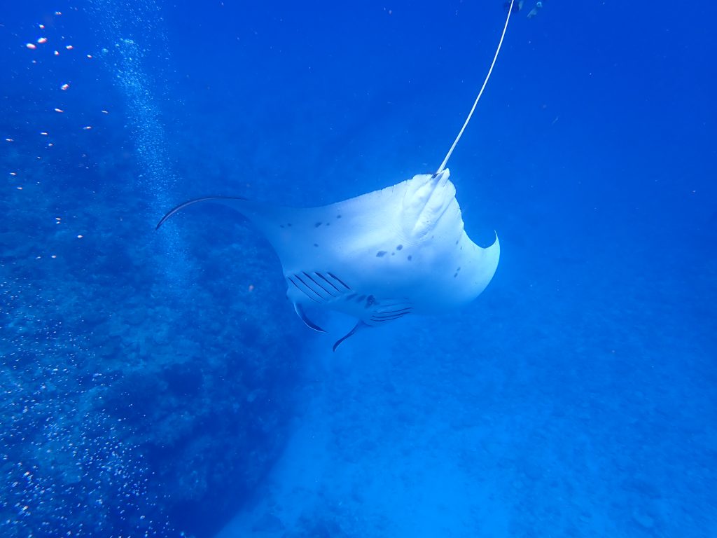 p8160058