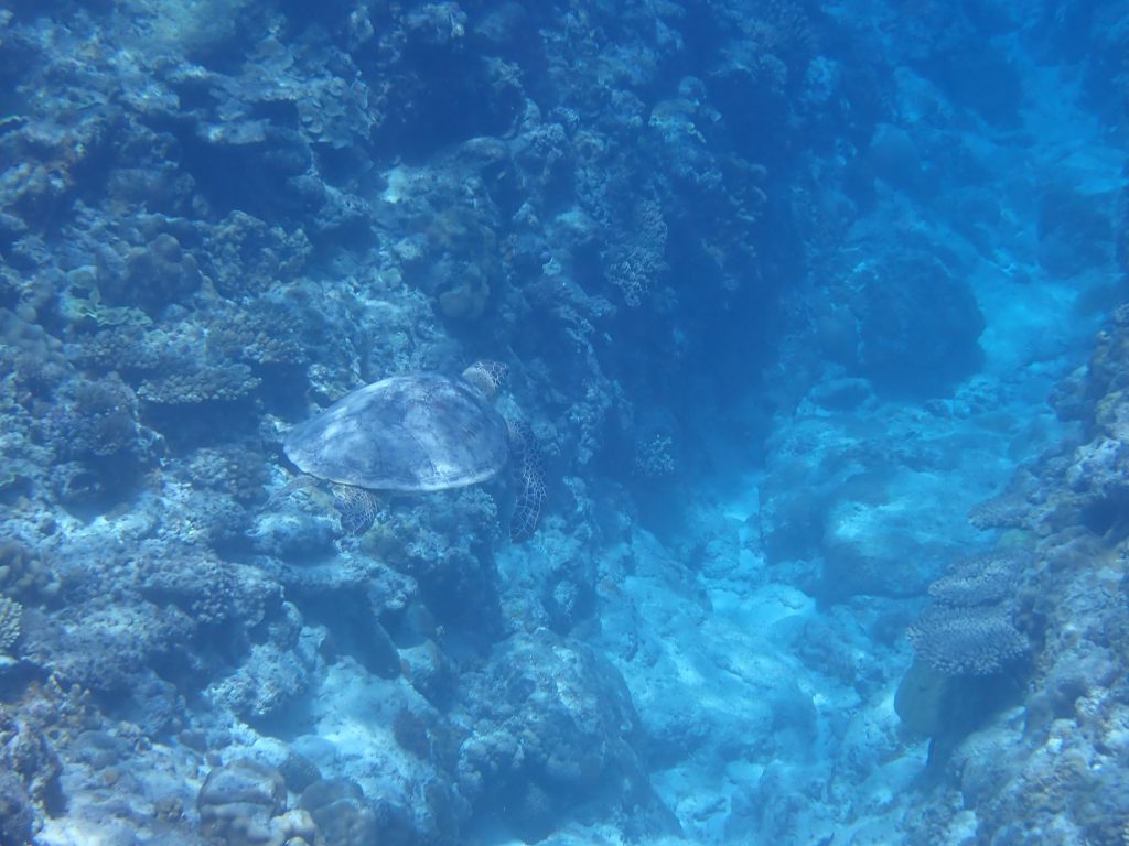 p8300274