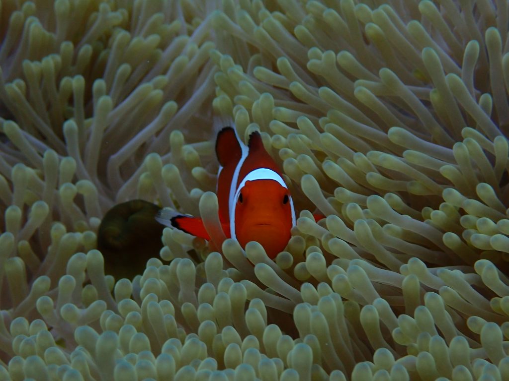 p8310124
