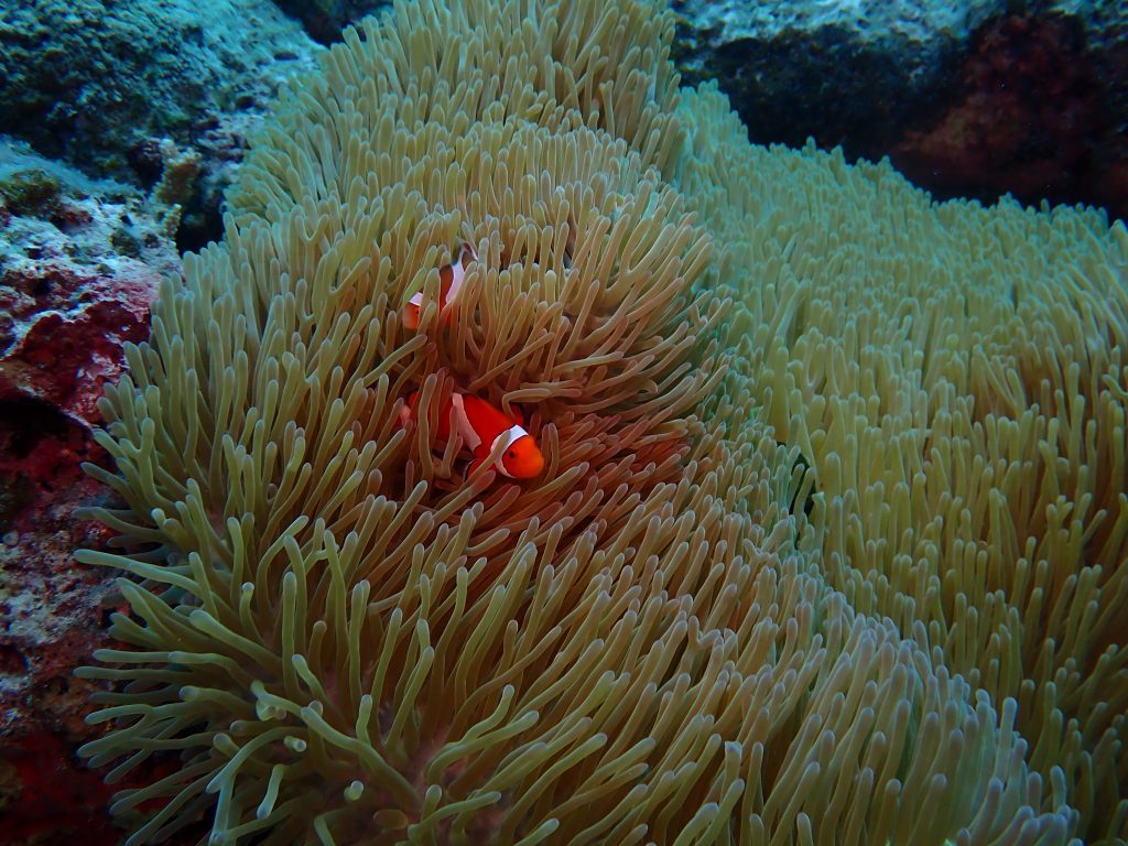 p9190502