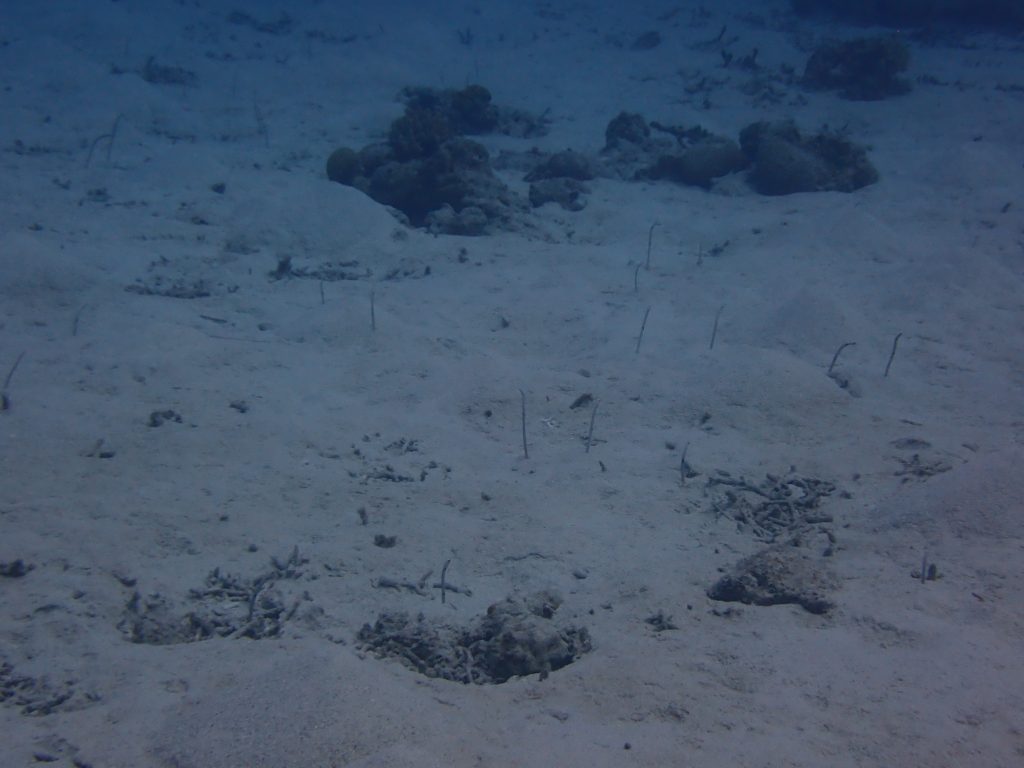 p9220022