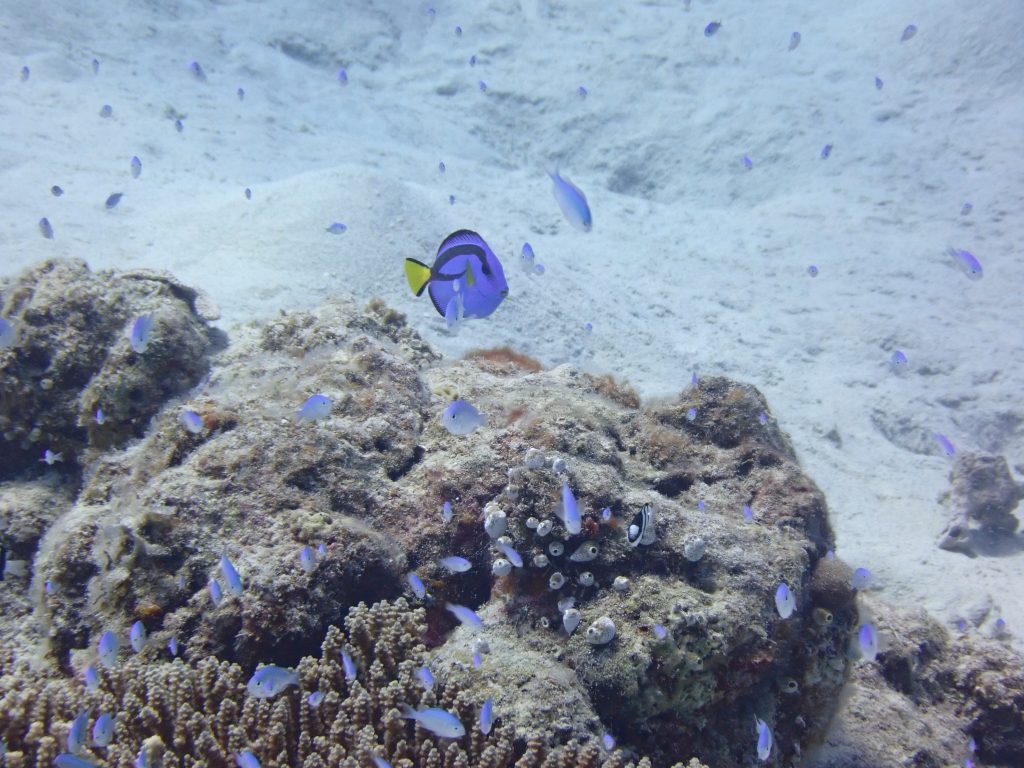 p9220069
