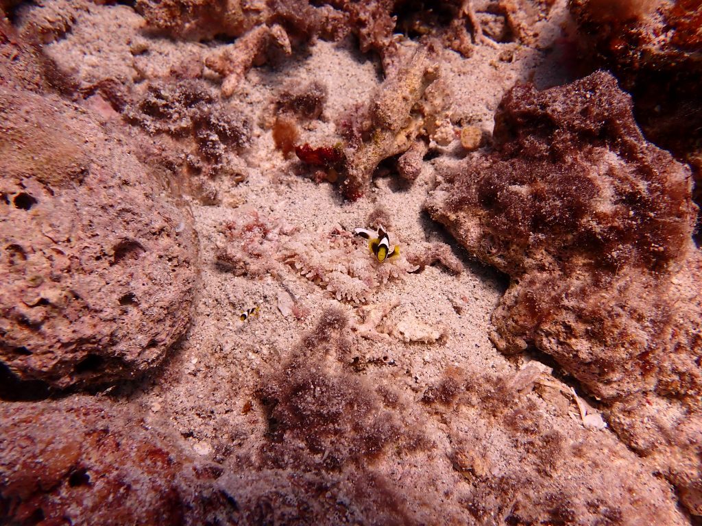 p9220092