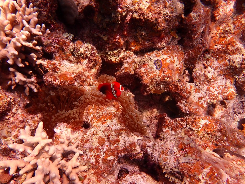 p9220147