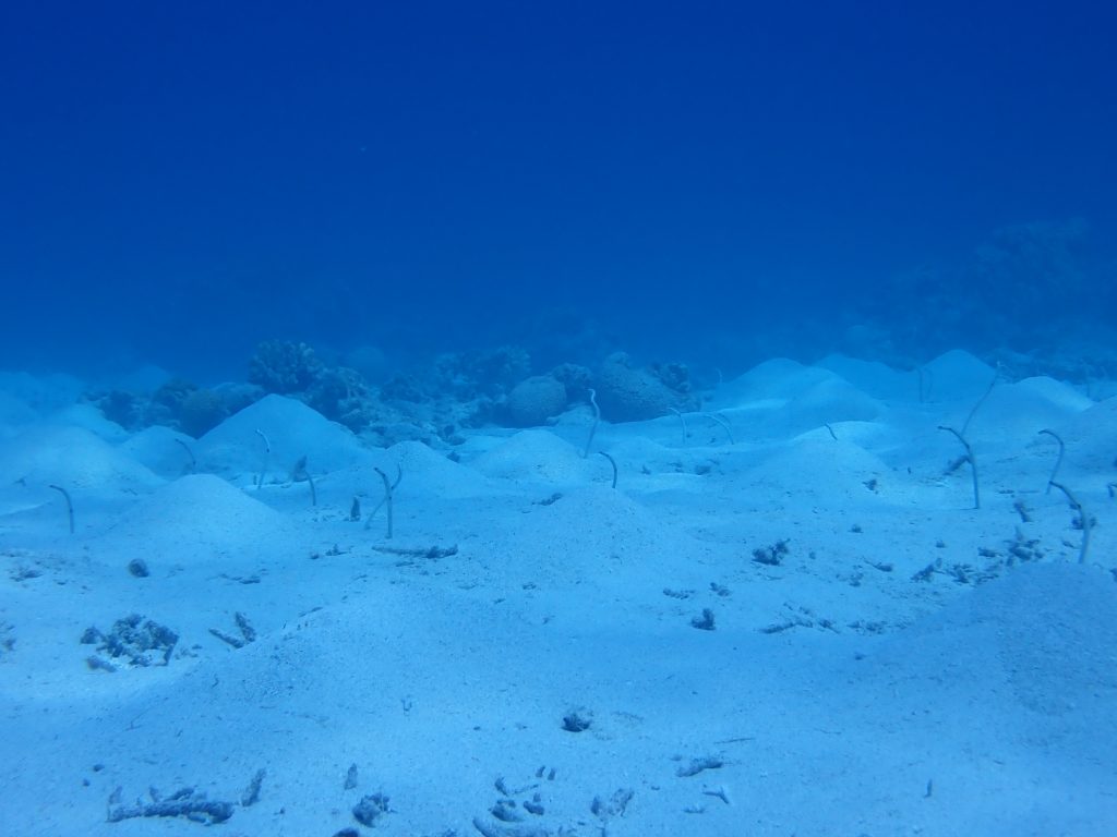 p9230051