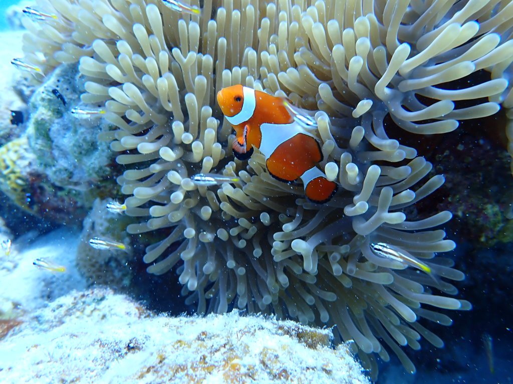 p9230065